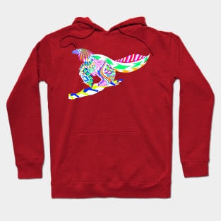 light rainbow birdy dinosaur in ecopop Hoodie